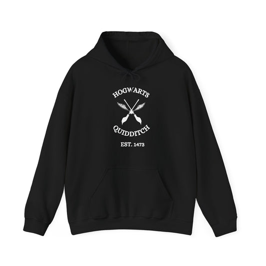 HP Quidditch - Modern Vibes - Unisex Heavy Blend™ Hooded Sweatshirt