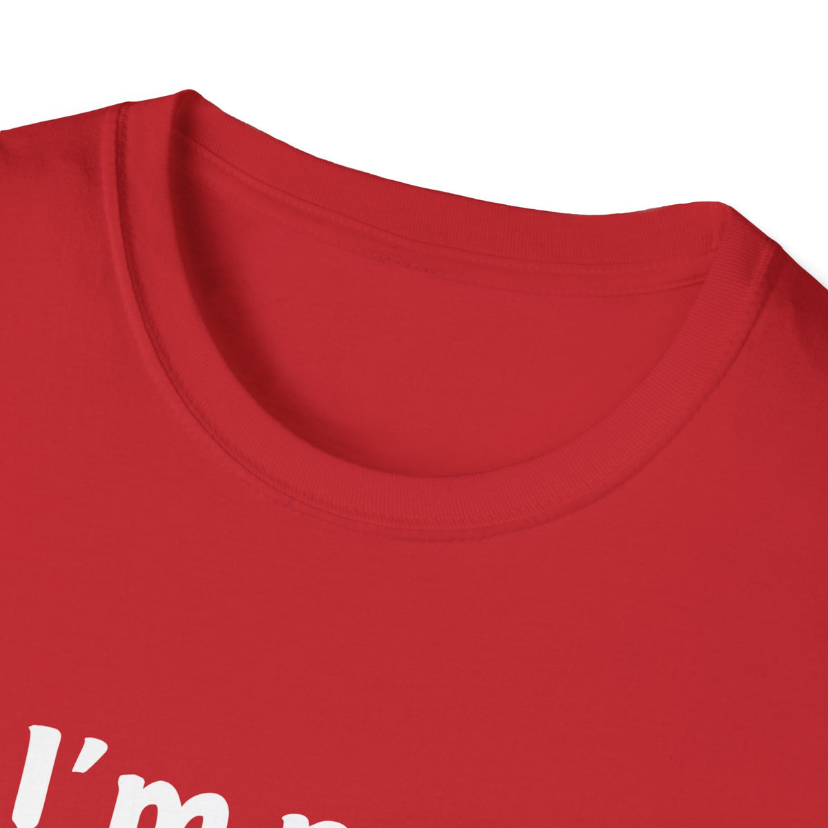 I'm Not Anti-Social, I Just Don't Like You - Funny - Unisex Softstyle T-Shirt