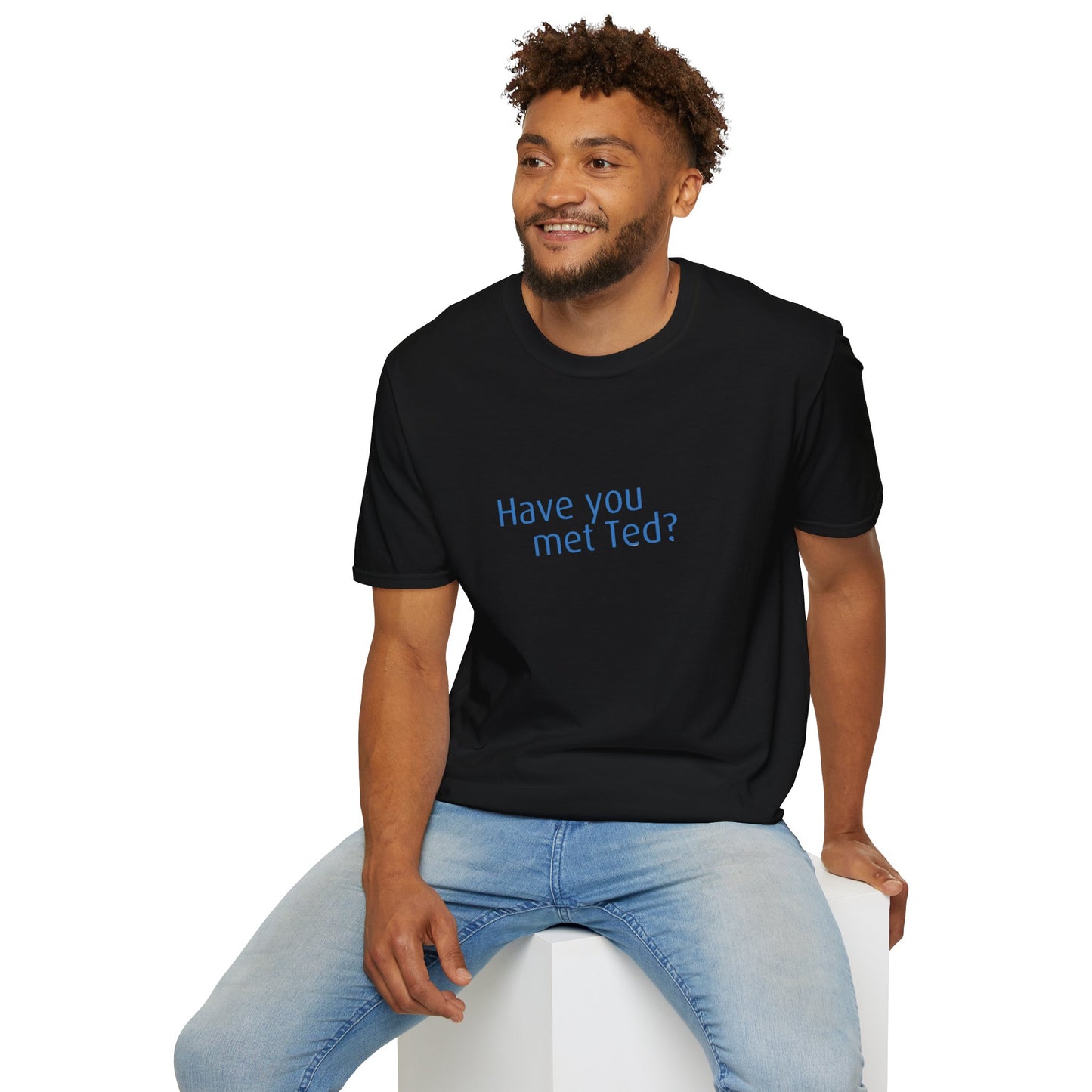 Have you met Ted? (How I met your mother) - Unisex Softstyle T-Shirt